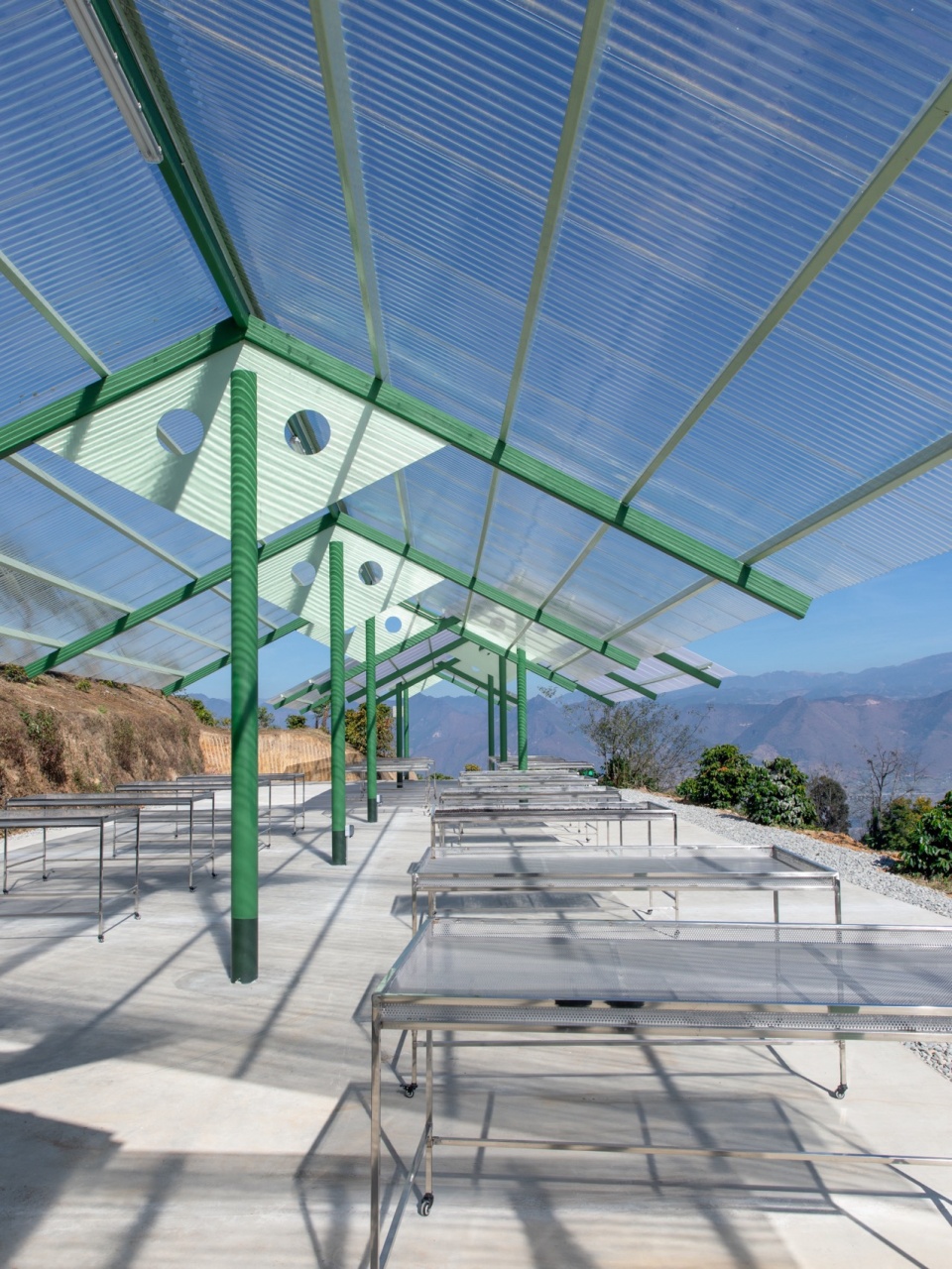 terraweave estate tiantian coffee drying yard in baoshan yunnan by edge architects