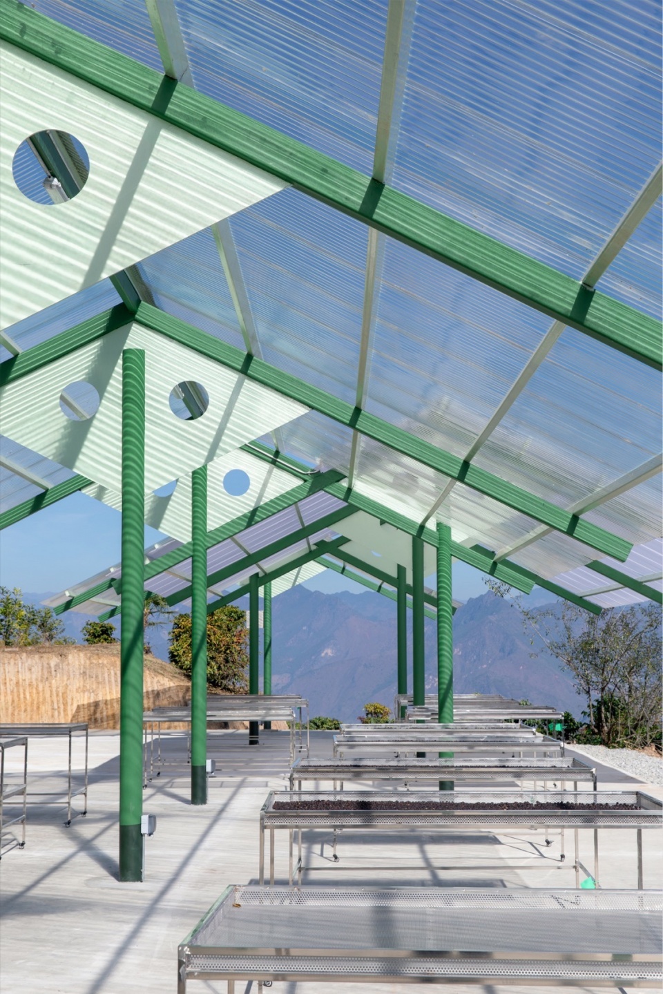 terraweave estate tiantian coffee drying yard in baoshan yunnan by edge architects