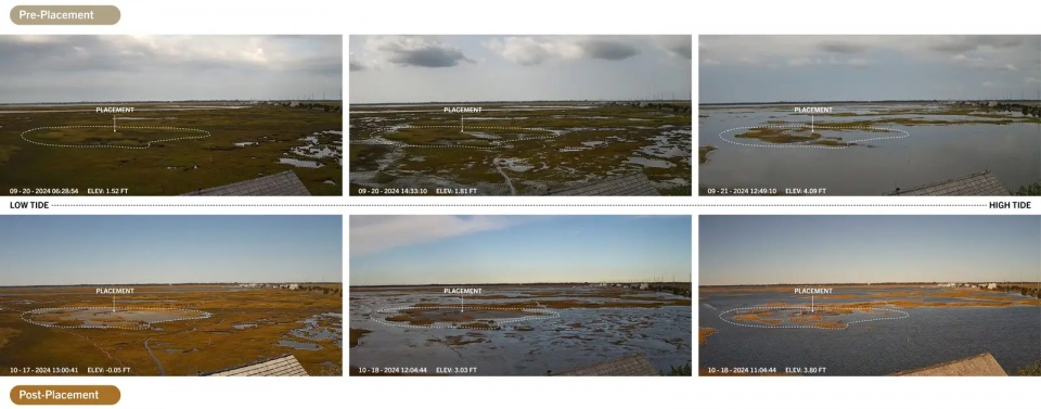 2025 asla research award of honor about time adaptive management for coastal salt marshes emlab the wetlands institute