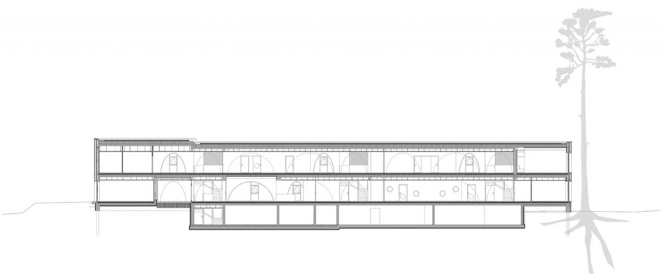 A house for children in a Pinegrove Christian Schmoelz Architekt