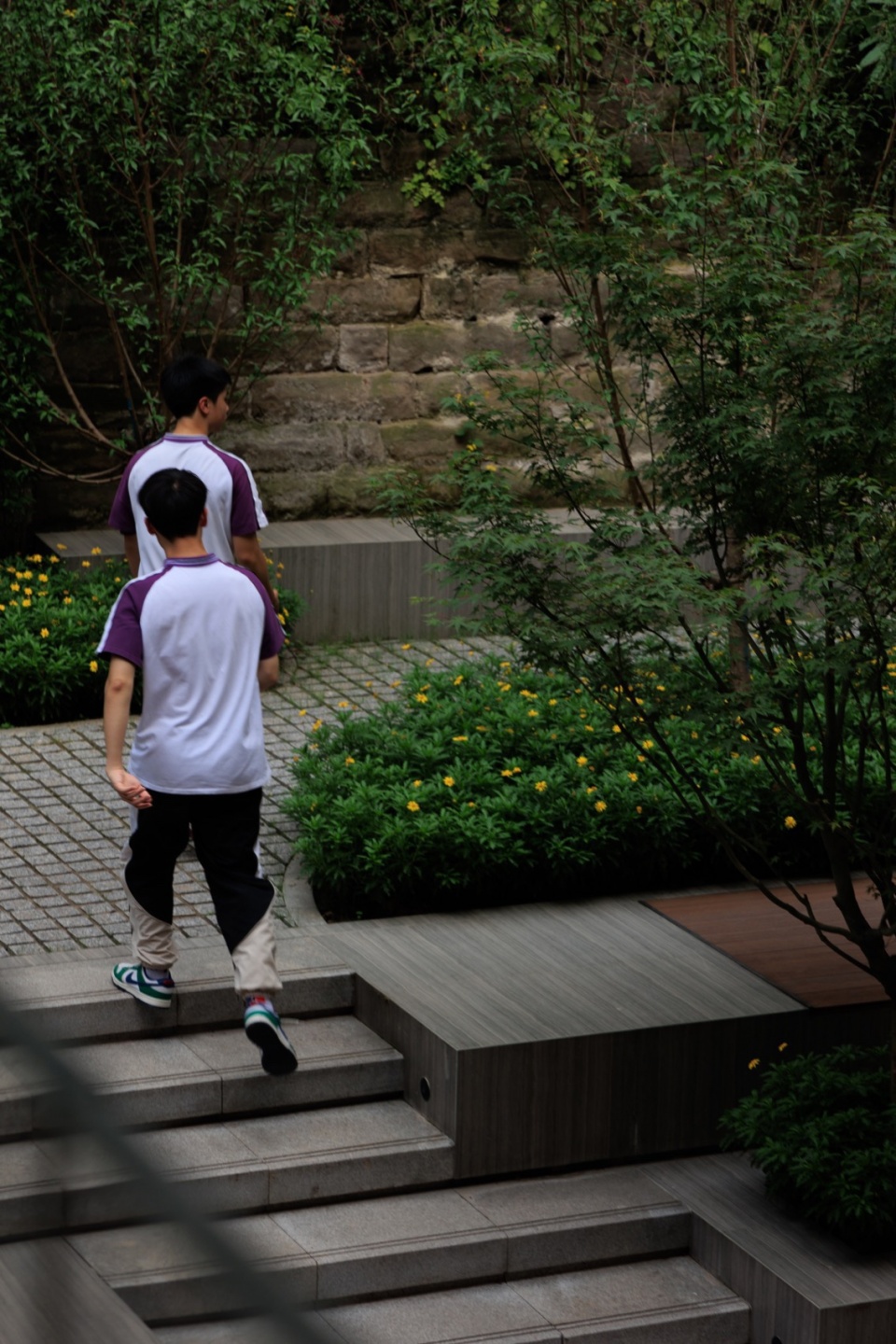 landscape transformation of zhangjiagarden campus bashu secondary school by aofan design