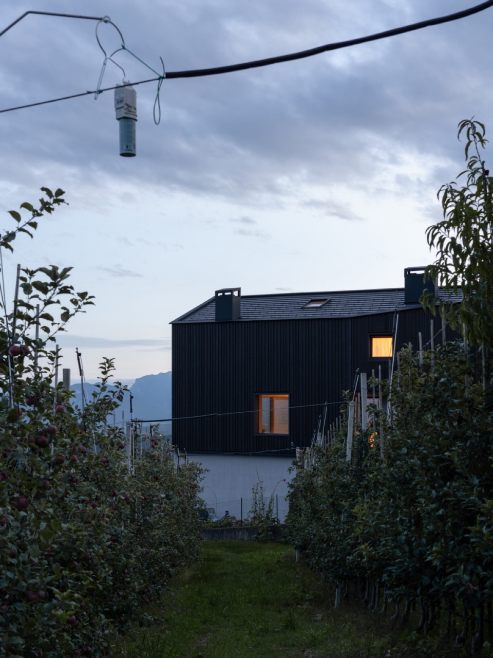 Hometown House by MoDusArchitects