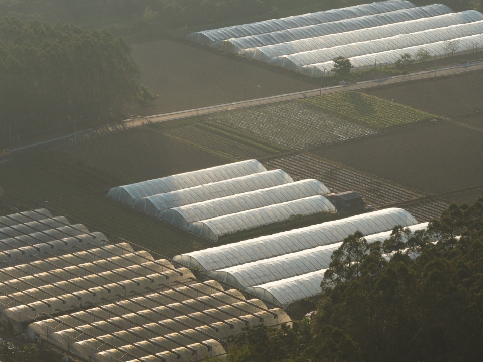 Taikang Shanxia Farm Luofu Mountain by Weimar Group