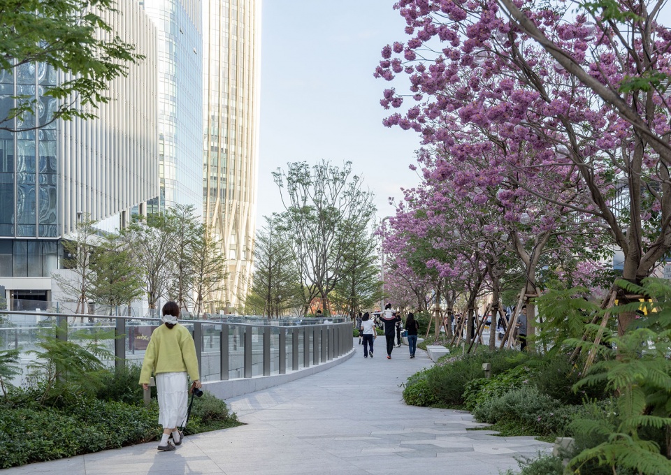 The Shenzhen Bay Phase II
