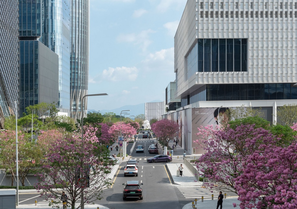 The Shenzhen Bay Phase II