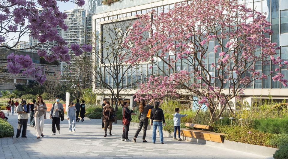The Shenzhen Bay Phase II