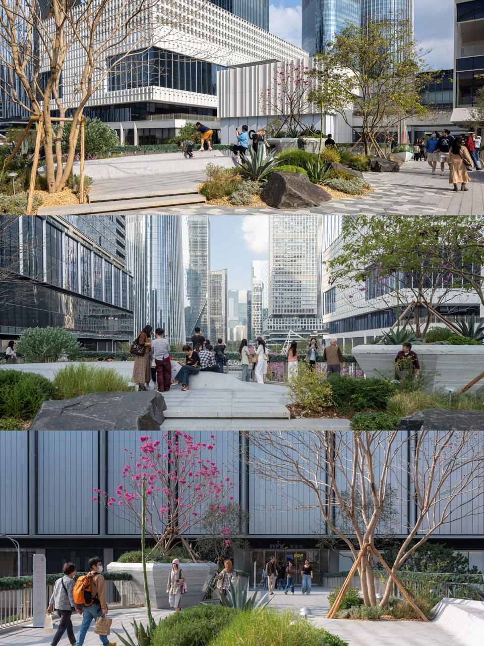The Shenzhen Bay Phase II