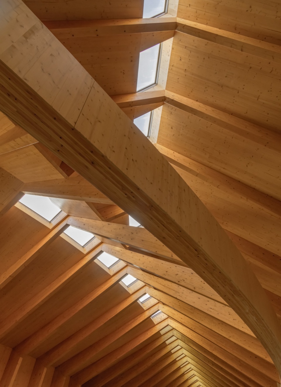 Quinta de Adorigo Winery Atelier Sergio Rebelo