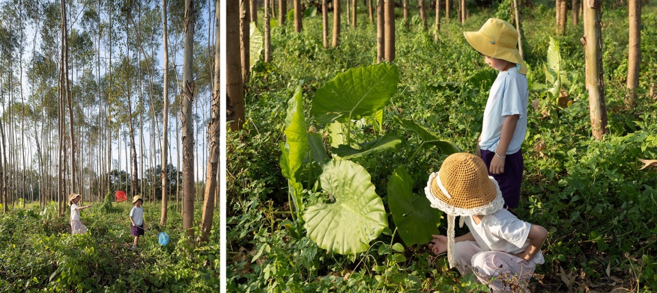 Taikang Shanxia Farm Luofu Mountain by Weimar Group 拷贝