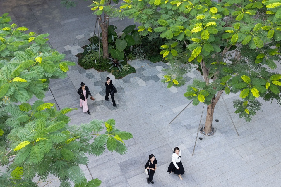 The Shenzhen Bay Phase II