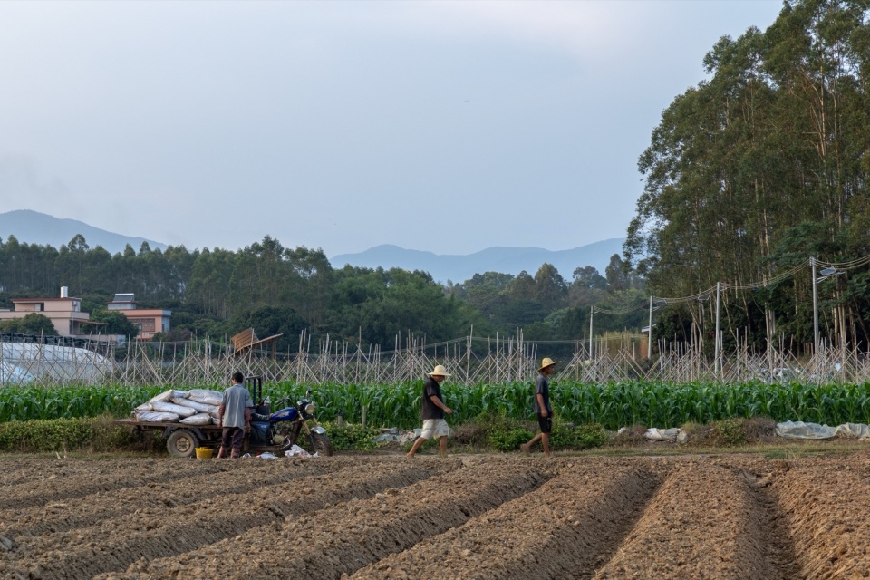Taikang Shanxia Farm Luofu Mountain by Weimar Group