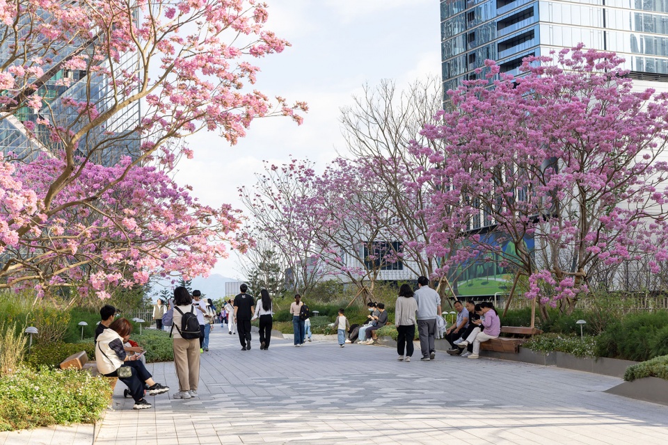The Shenzhen Bay Phase II
