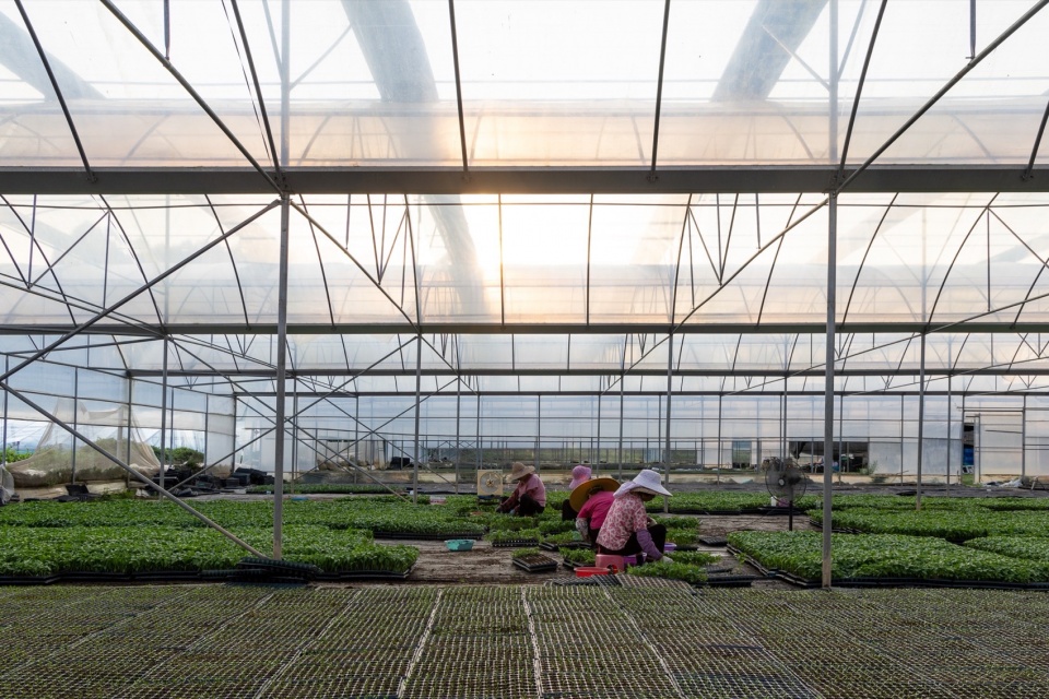 Taikang Shanxia Farm Luofu Mountain by Weimar Group
