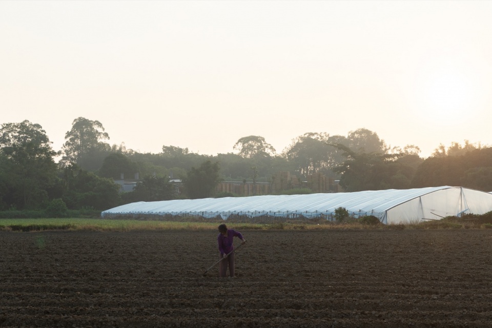 Taikang Shanxia Farm Luofu Mountain by Weimar Group