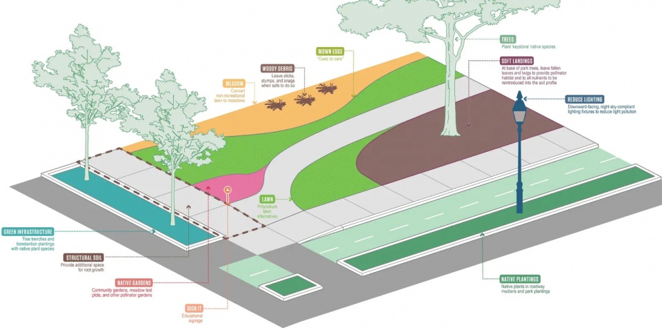 2025 asla analysis and planning award of honor somerville pollinator action plan offshoots inc