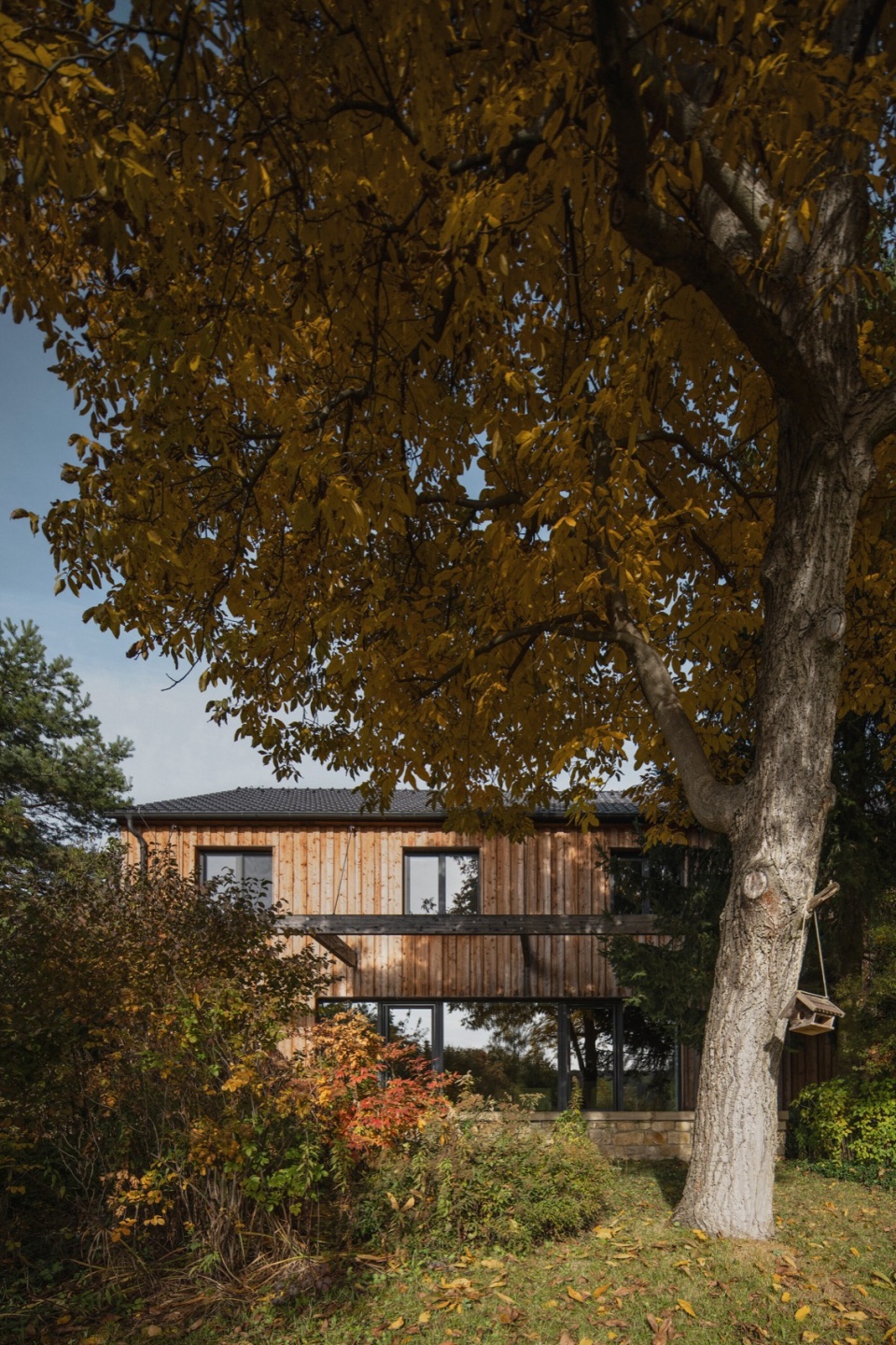 family house in mature garden by mimosa architects