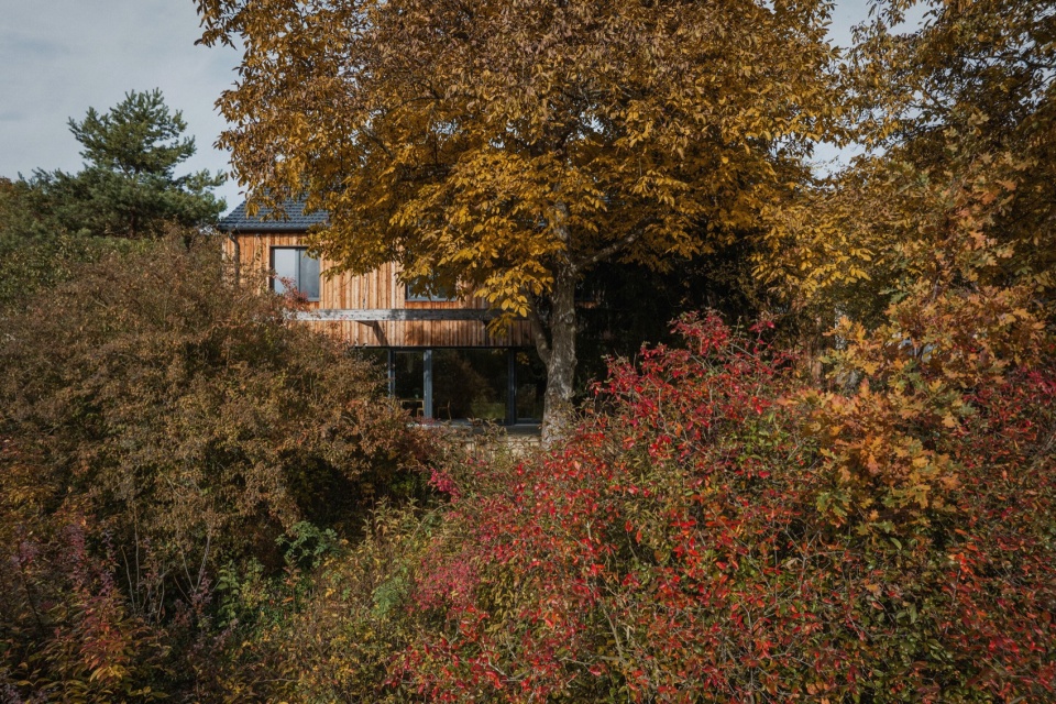family house in mature garden by mimosa architects