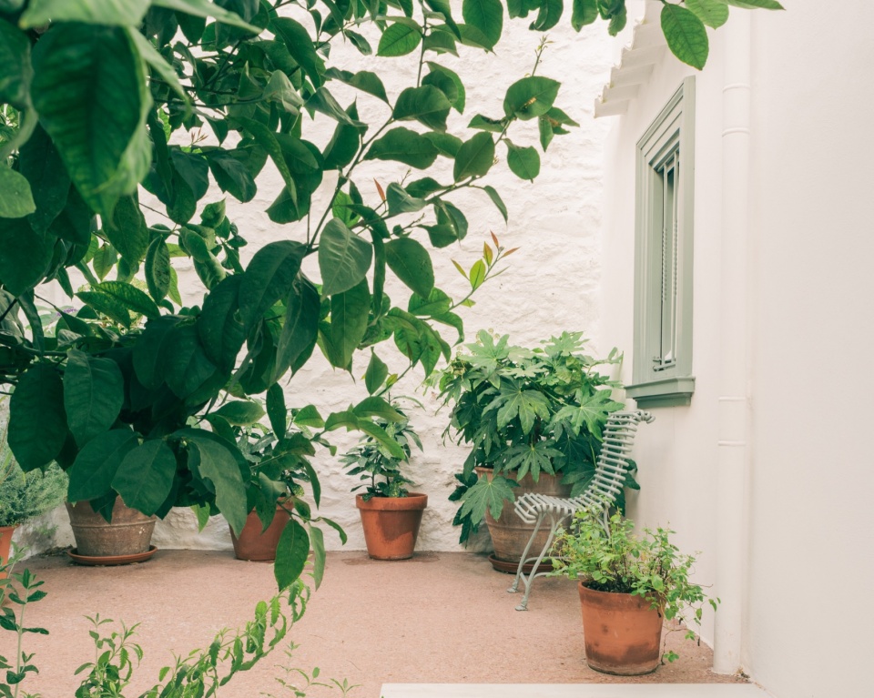 neoclassical townhouse by local local