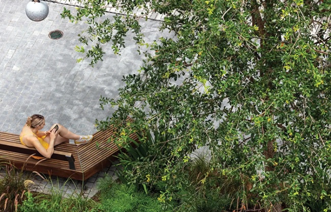 2025 ASLA城市设计类荣誉奖：场所的慷慨：坦帕水街的连绵树冠，美国佛罗里达州 / Reed Hilderbrand