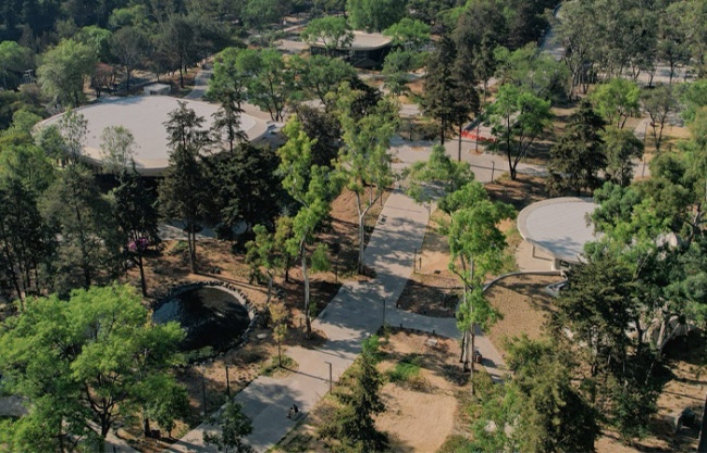 Scenic Garden by Michan Architecture