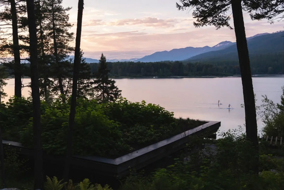 2025 asla residential design award of honor inez point embracing an old growth forest design workshop inc
