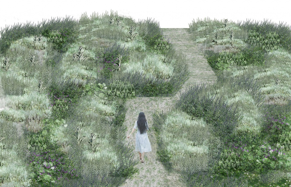 The International Garden Festival