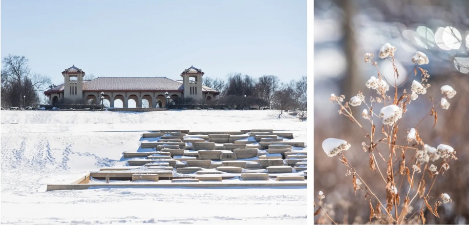 2025 asla research award of honor restoring the glory the restoration of forest park hok