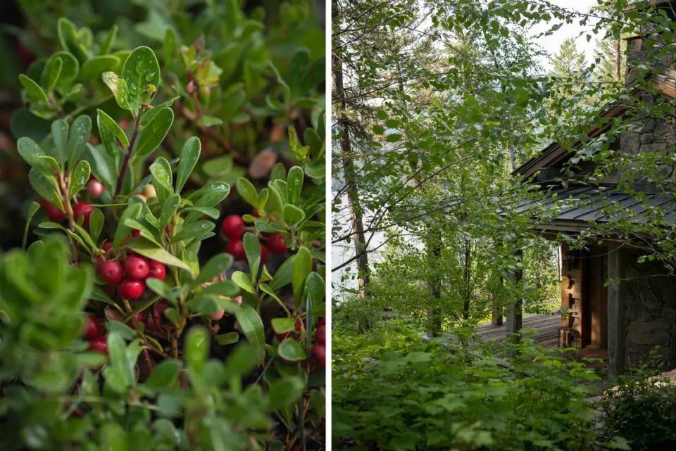 2025 asla residential design award of honor inez point embracing an old growth forest design workshop inc