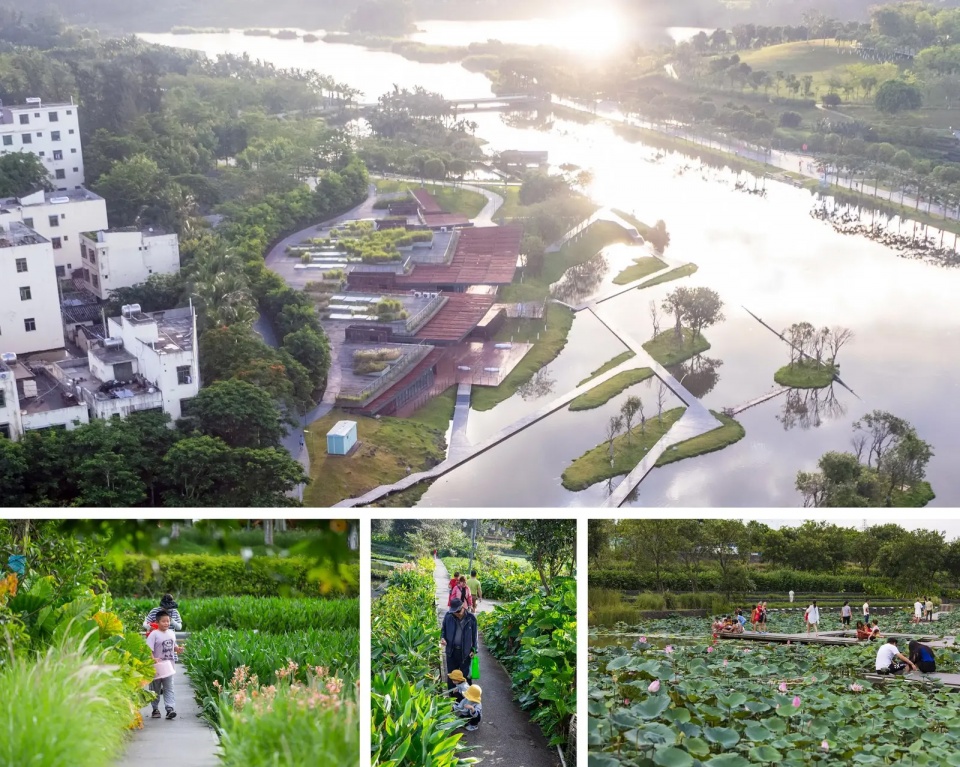 2025 asla urban design award of honor meishe river greenway and fengxiang park turenscape
