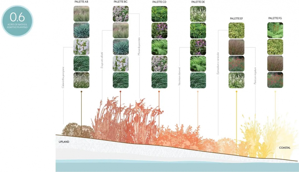 2025 asla urban design award of honor water street tampas continuous canopy reed hilderbrand iii
