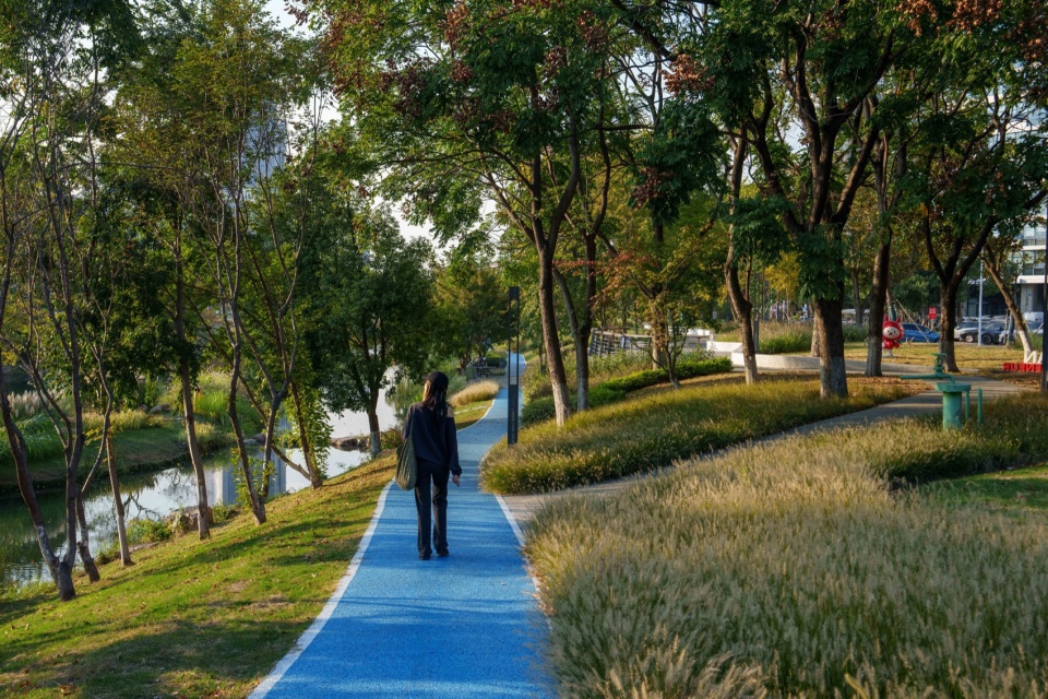 Landscape Enhancement Along Linghu Avenue in Wuxi by MYP INC