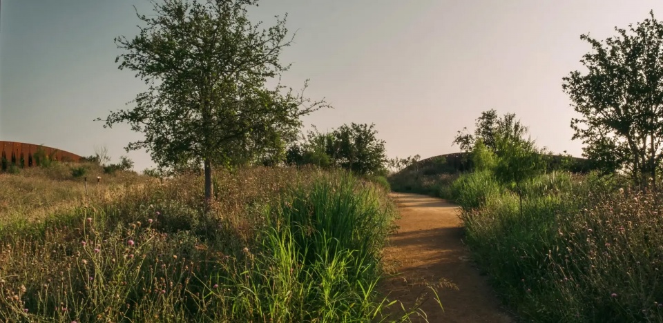 2025 asla general design award of honor a land bridge for cultural and wildlife connections stimson rialto studio