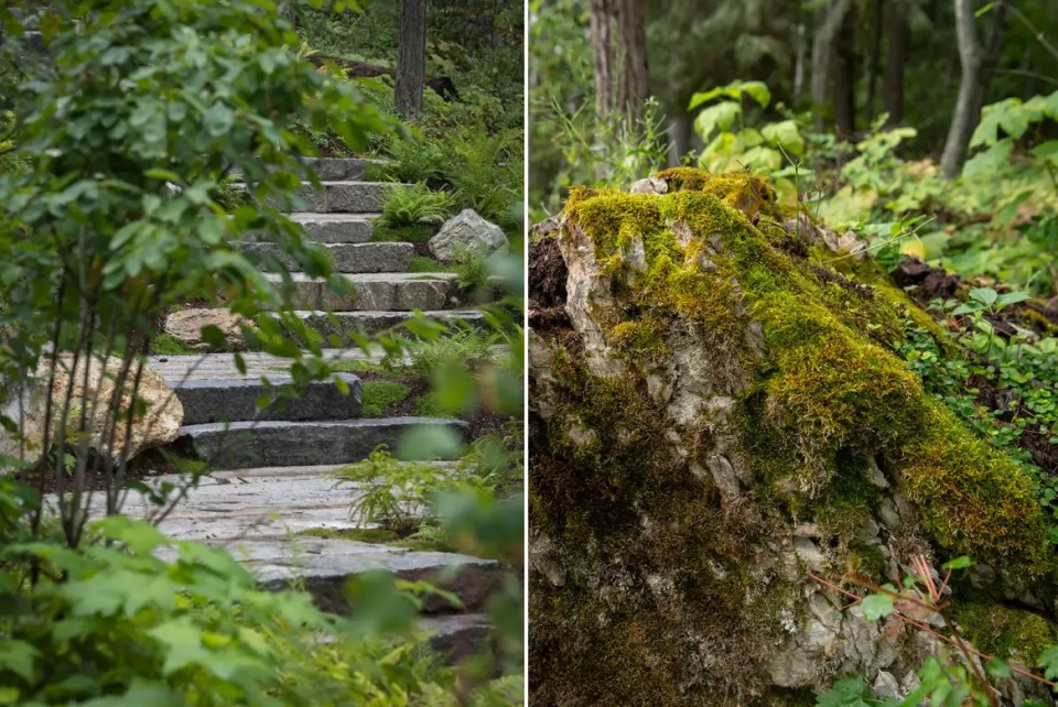 2025 asla residential design award of honor inez point embracing an old growth forest design workshop inc