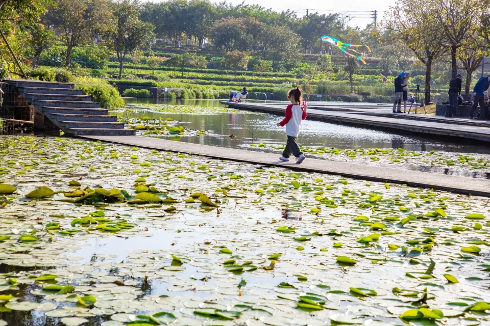 2025 asla urban design award of honor meishe river greenway and fengxiang park turenscape