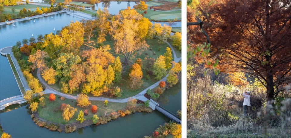 2025 asla research award of honor restoring the glory the restoration of forest park hok
