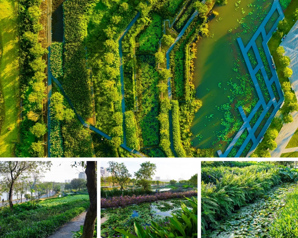 2025 asla urban design award of honor meishe river greenway and fengxiang park turenscape