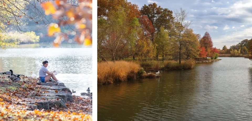 2025 asla research award of honor restoring the glory the restoration of forest park hok