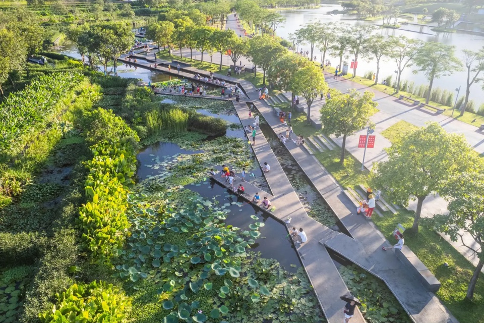 2025 asla urban design award of honor meishe river greenway and fengxiang park turenscape