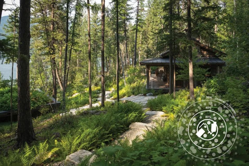 2025 asla residential design award of honor inez point embracing an old growth forest design workshop inc