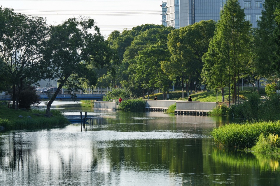 Landscape Enhancement Along Linghu Avenue in Wuxi by MYP INC