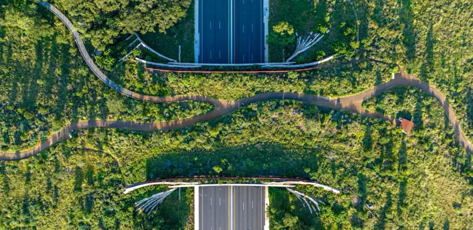 2025 asla general design award of honor a land bridge for cultural and wildlife connections stimson rialto studio