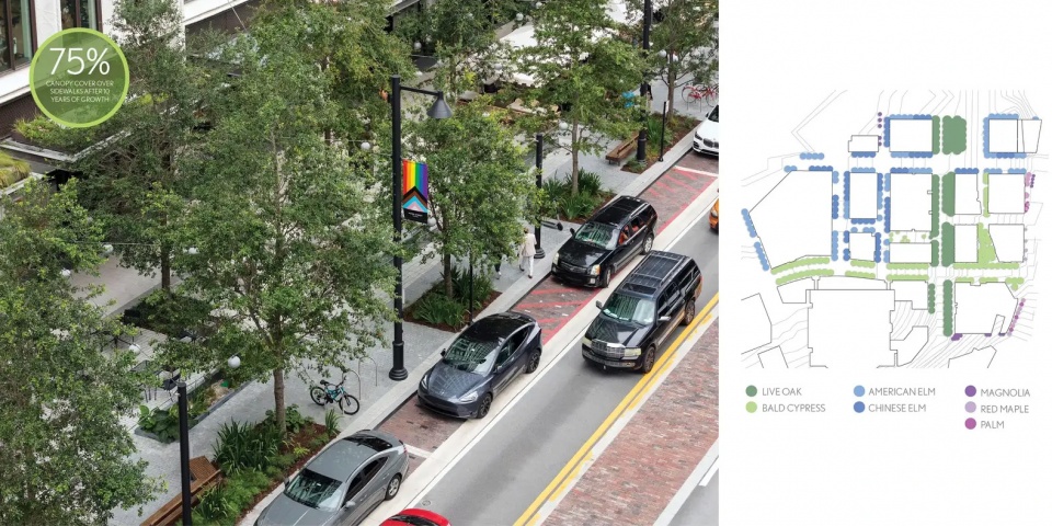 2025 asla urban design award of honor water street tampas continuous canopy reed hilderbrand