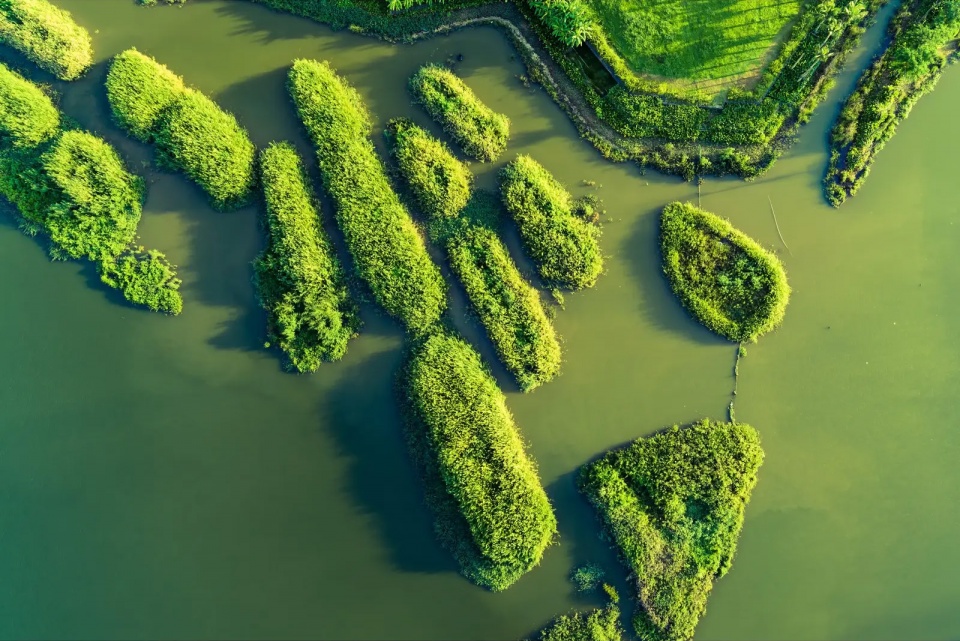 2025 asla urban design award of honor meishe river greenway and fengxiang park turenscape