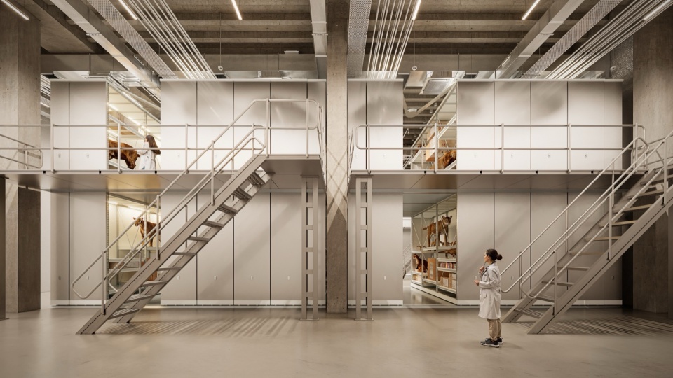 Debrecen Natural History Museum Collection Centre by Sordo Madaleno epitesz studio Buro Happold