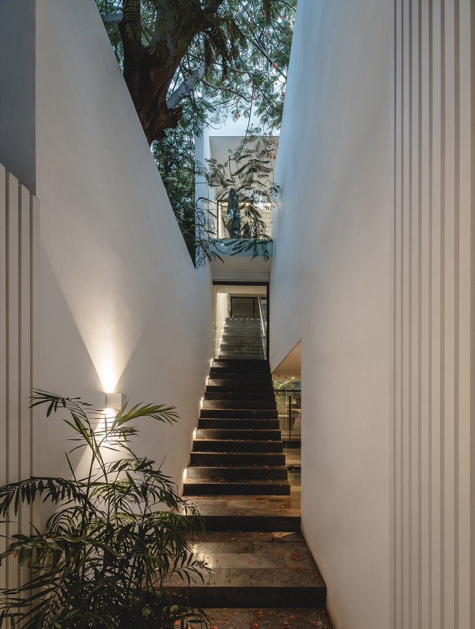 THE ASYLUM by Arkham Projects