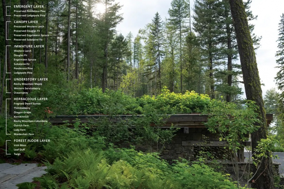 2025 asla residential design award of honor inez point embracing an old growth forest design workshop inc