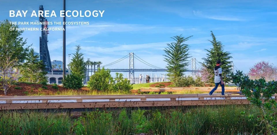 2025 asla urban design award of honor china basin park scape