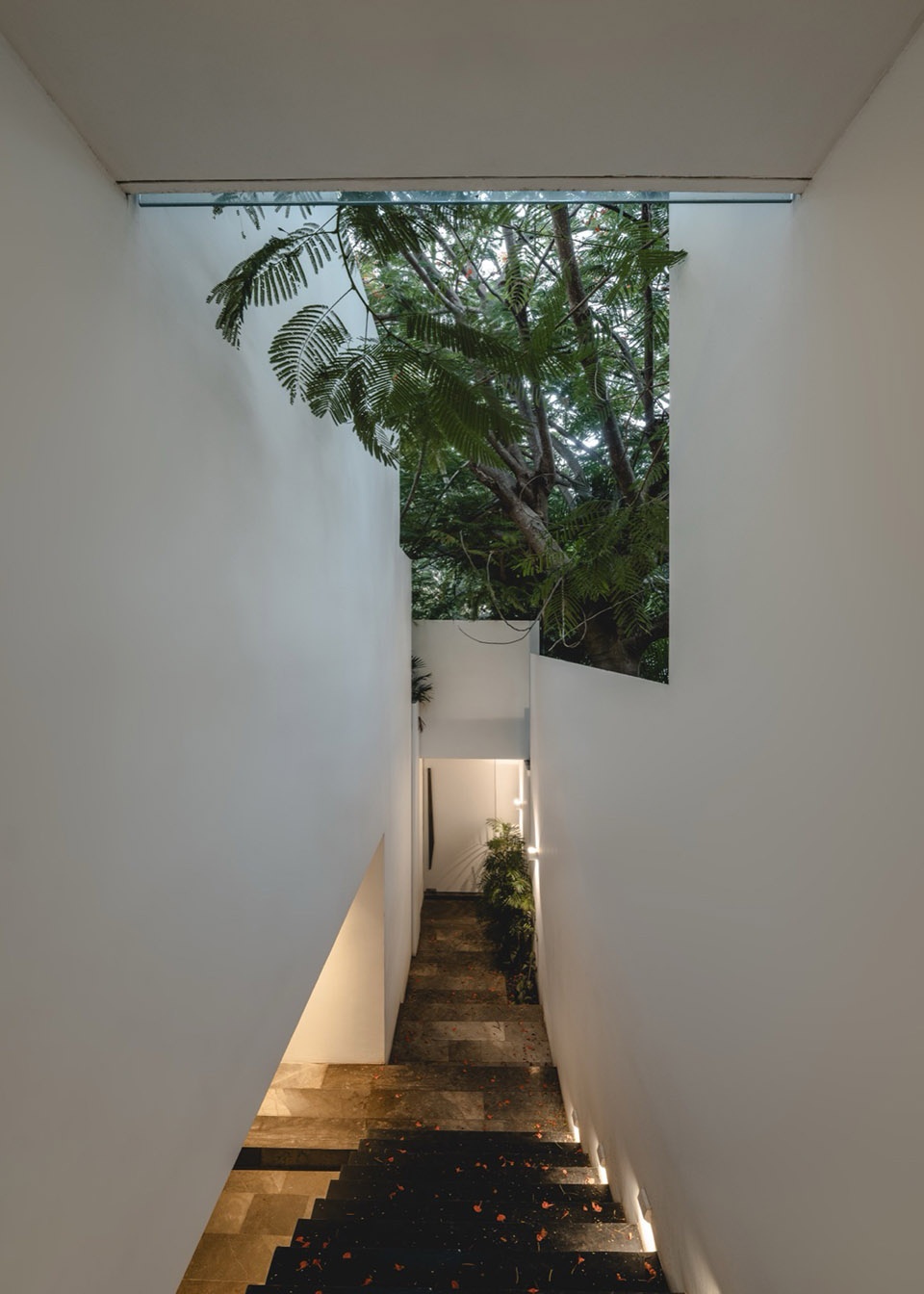 THE ASYLUM by Arkham Projects