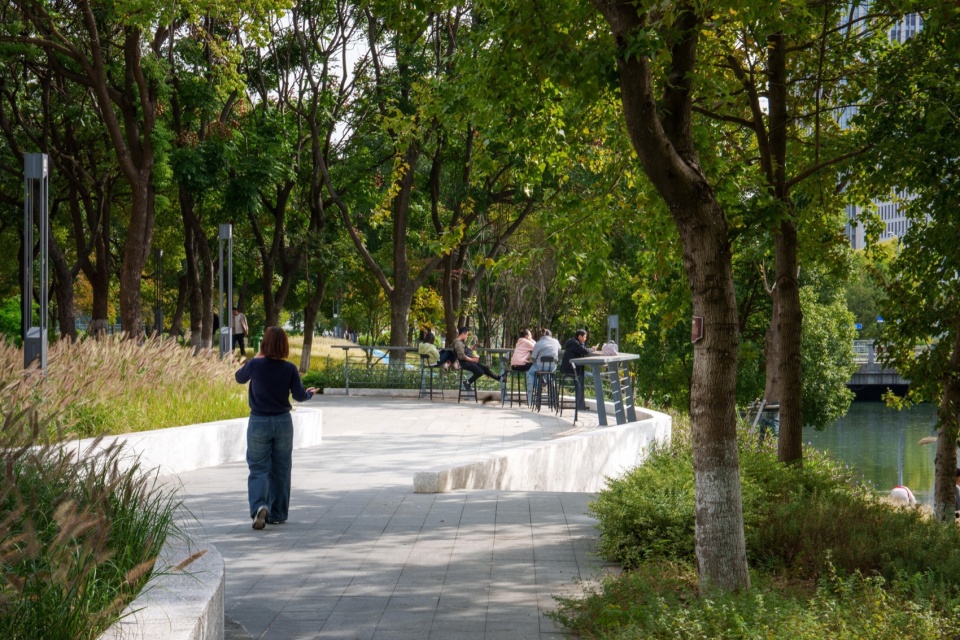 Landscape Enhancement Along Linghu Avenue in Wuxi by MYP INC