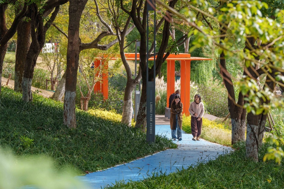 Landscape Enhancement Along Linghu Avenue in Wuxi by MYP INC